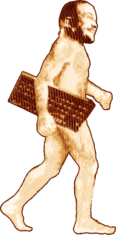Evoluutio 2